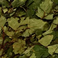 Веник для бани берёзовый, &laquo;Добропаровъ&raquo;