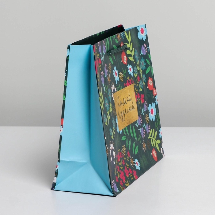 Пакет подарочный ламинированный, упаковка, «Present for you», MS 23 х 18 х 8 см Пакет подарочный ламинированный, упаковка, «Present for you», MS 23 х 18 х 8 см