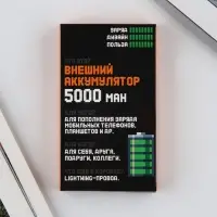 Зарядное устройство &laquo;100% заряд&raquo;, 5000мА