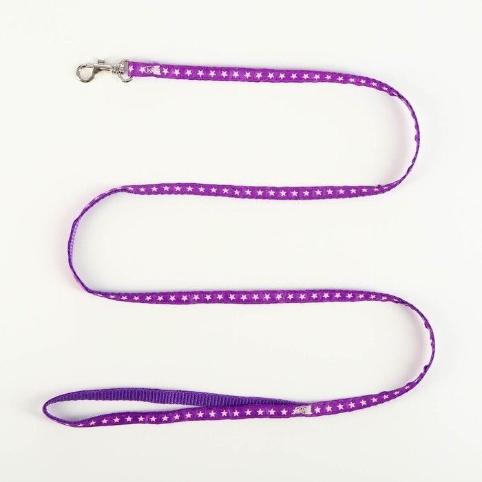 Комплект амуниции Комплект амуниции "Звёзды", ширина 1 см, поводок 120 см, шлейка 26-38 см, фиолетовый