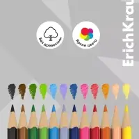 Карандаши цветные 12 цветов ErichKrause Color Friends, трёхгранные, пластиковые, с европодвесом