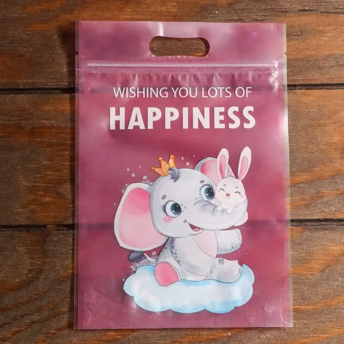 Пакет подарочный, с zip-lock застежкой, 15 х 22 см, МИКС Пакет подарочный, с zip-lock застежкой, 15 х 22 см, МИКС