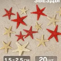 Набор натуральных морских звезд, 1.5 - 2.5 см, 20 шт., красные - белые