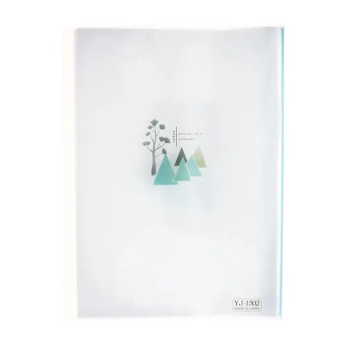 Папка формат А4, с 40 прозрачными файлами &laquo;Река&raquo;, МИКС