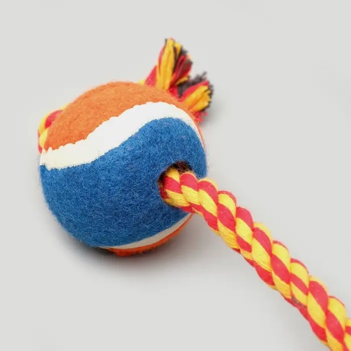Игрушка тренировочная канатная, до 125 г, до 45 см, с мячом, цвет МИКС