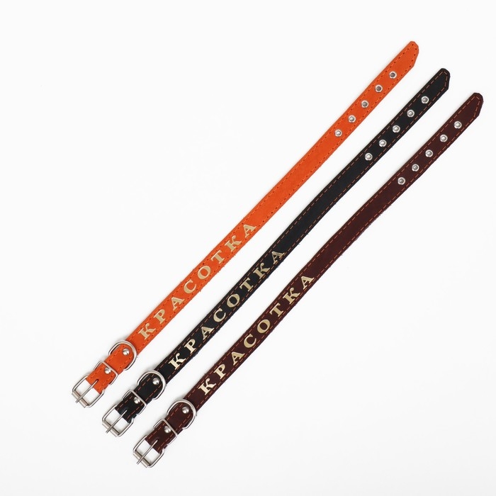 Ошейник кожаный однослойный, тиснёный «Красотка», 48 х 2 см, ОШ 32-43 см, микс цветов Ошейник кожаный однослойный, тиснёный «Красотка», 48 х 2 см, ОШ 32-43 см, микс цветов