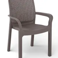 Стул садовый пластиковый Rattan, 50.6&times;58&times;83.3 см, цвет французский платан