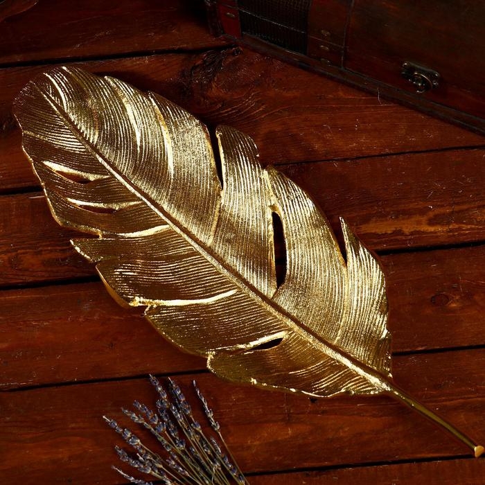 Блюдо Блюдо "Перо" алюминий 43х16х4 см