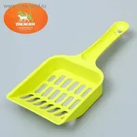 Совок "Вдохновение", микс видов и цветов