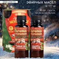 Новогодний набор эфирных масел &laquo;Крепкого здоровья&raquo;, пихта, можжевельник, кедр, 2 шт. по 100 мл