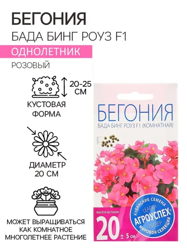 Семена комнатных цветов Бегония &laquo;Бада Бинг Роуз&raquo;, 10 шт., однолетник, &laquo;Агроуспех&raquo;