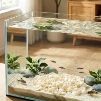 Набор ракушек декоративных 1.5-3 см, 100 г