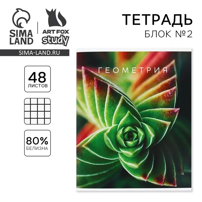 Тетрадь в клетку, предметная, 48 л.,на скрепке, А5 &laquo;ПРИРОДА. Геометрия&raquo;