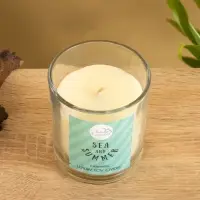 Свеча с кристаллом внутри Sea and Summer Citronella, 120 г, соевый воск, цитронелла