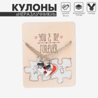 Кулоны «Неразлучники» forever, цвет чернёное серебро, 50 см