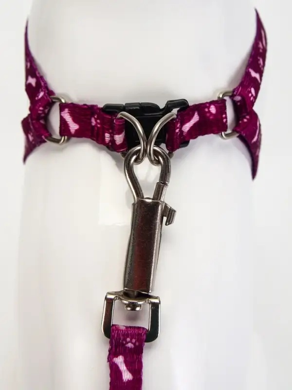 Шлейка с поводком &laquo;Классика&raquo;, ОГ 28-47 см, поводок 120&times;1 см, фиолетовая