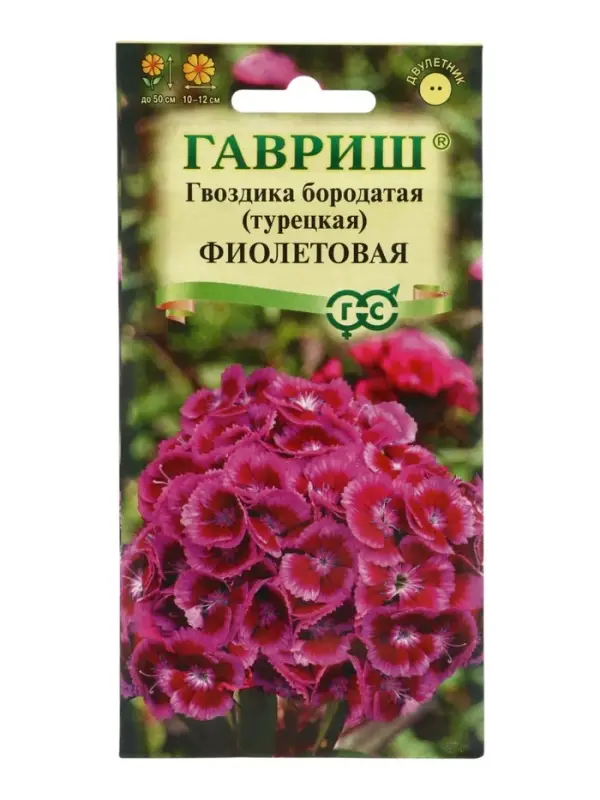 Семена гвоздика &laquo;Фиолетовая&raquo;, 0.1 г