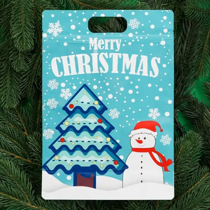 Пакет подарочный,  Пакет подарочный, "С новым годом!", с zip-lock застежкой, 20х30+4,5 см.