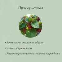 Кустодержатель, d=40 см, h=70 см, ножка d=1 см, металл, зелёный