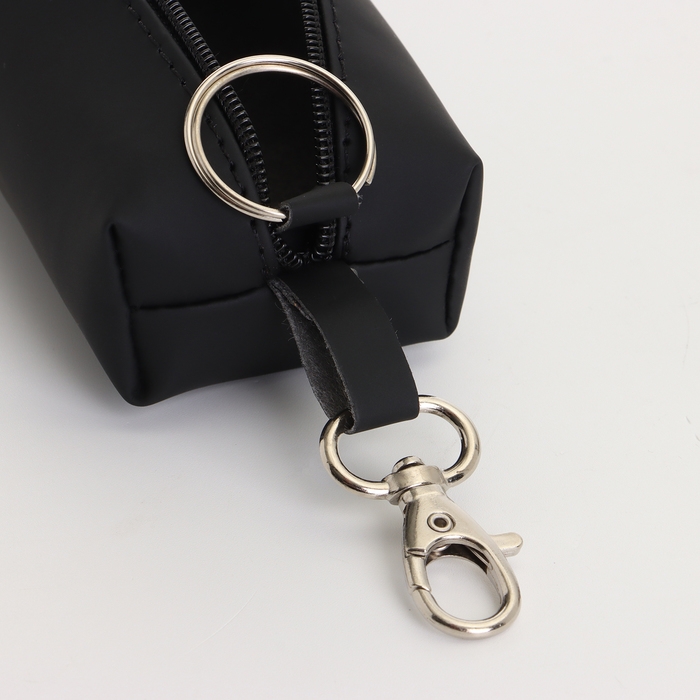 Ключница на молнии, длина 16 см, кольцо, карабин, цвет чёрный Ключница на молнии, длина 16 см, кольцо, карабин, цвет чёрный