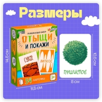 Развивающий набор «Отыщи и покажи», 54 карточки, 3+