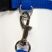 Комплект для кошек, ширина 1 см, ОШ 16.5-27 см, ОГ 21-35 см, поводок 120 см, синий
