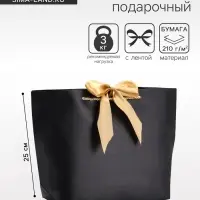 Пакет подарочный ламинированный, с лентой &laquo;Чёрный&raquo;, горизонтальный, 26&times;25&times;11 см