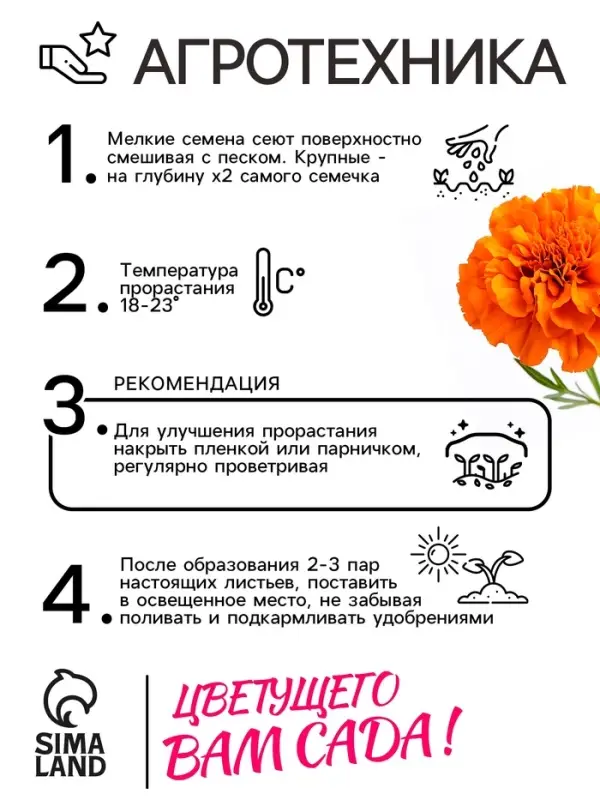 Семена цветов Бархатцы прямостоячие  Семена цветов Бархатцы прямостоячие "Оранжевый принц", 0,3 г