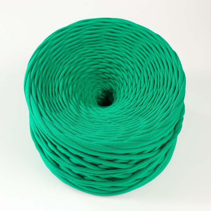 Трикотажная пряжа, ширина 7-9 мм, 100м/295 гр±10% (22 - киви)