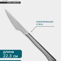 Нож для стейка Hanna Kn&ouml;vell, 22.3 см, толщина 6 мм, сталь Aisi 420, серебристый