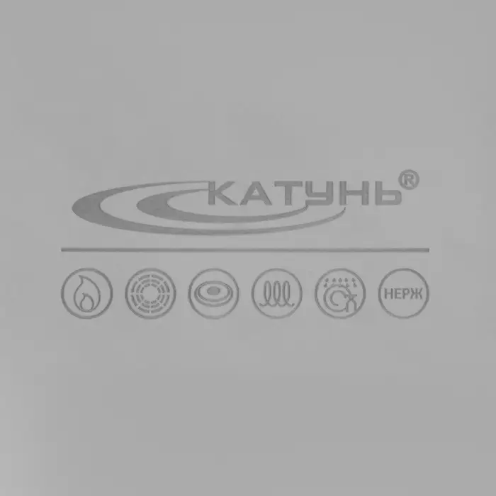 Кастрюля Катунь &laquo;Общепит&raquo;, 8 л, d=30 см, с крышкой, капсульное дно, индукция, нержавеющая сталь, хромированная