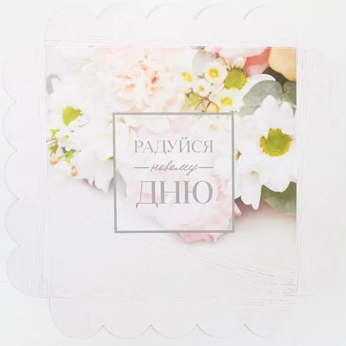 Коробка для печенья, кондитерская упаковка с пластиковой крышкой, «Радуйся новому дню», 18 х 18 х 3 см Коробка для печенья, кондитерская упаковка с пластиковой крышкой, «Радуйся новому дню», 18 х 18 х 3 см