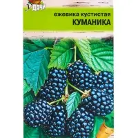 Семена Ежевика кустистая КУМАНИКА  0,05 г.