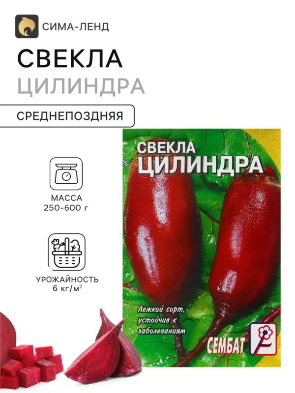 Семена Свекла &laquo;Цилиндра&raquo;, 1 г, &laquo;Сембат&raquo;