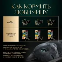 Влажный корм Sheba &laquo;Суп Коллекция&raquo; для взрослых кошек, суп, курица,70 г