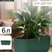 Кашпо для цветов &laquo;Рамона&raquo;, 6 л, 38&times;18&times;16.5 см, пластиковое, со вставкой, цвет нефрит
