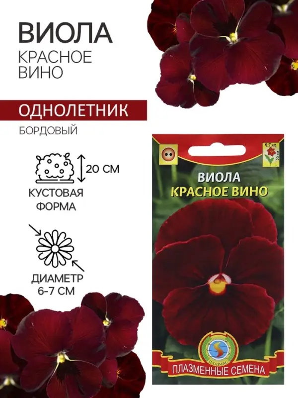 Семена Виола  Семена Виола "Красное вино", 0,1 г