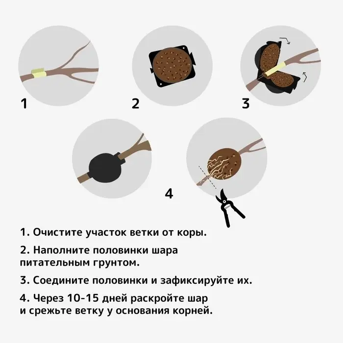 Шар для укоренения растений, d=5.5 см, под ветку 0.5 см, чёрный, Greengo