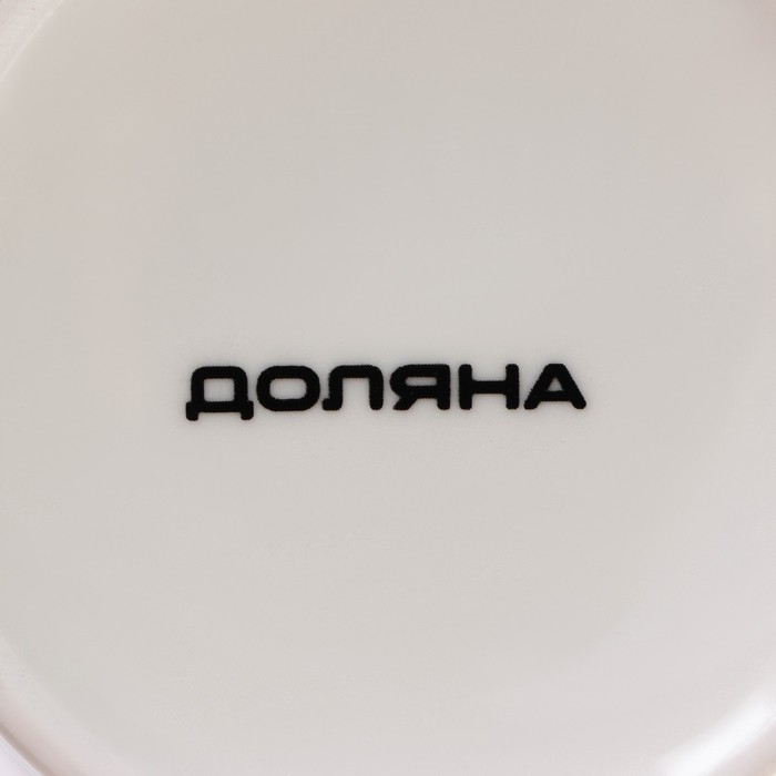 Кружка фарфоровая Доляна «Шоколадная крошка», 350 мл, цвет белый Кружка фарфоровая Доляна «Шоколадная крошка», 350 мл, цвет белый