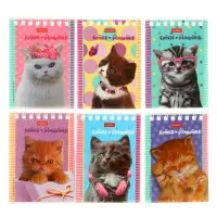 Блокнот А7, 40 листов на гребне "Котята", обложка мелованный картон Блокнот А7, 40 листов на гребне "Котята", обложка мелованный картон