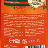 Мыло жидкое для рук, увлажнение и забота, аромат рябины, 250 мл, Рябина