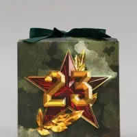 Коробка подарочная складная, упаковка, &laquo;23 февраля&raquo;, 12&times;12&times;12 см