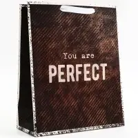 Пакет подарочный вертикальный YOU are PERFECT, 26&times;32&times;12 см