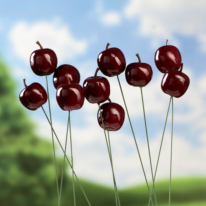 Набор штекеров Набор штекеров "Яблоко" 10шт, 3см, длина 25см