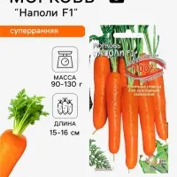 Семена Морковь &laquo;Наполи&raquo; F1, 100 шт., &laquo;Дом семян&raquo;