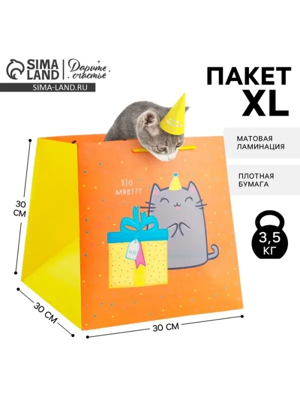 Пакет подарочный квадратный, упаковка, &laquo;Котик и тортик&raquo;, 30&times;30&times;30 см