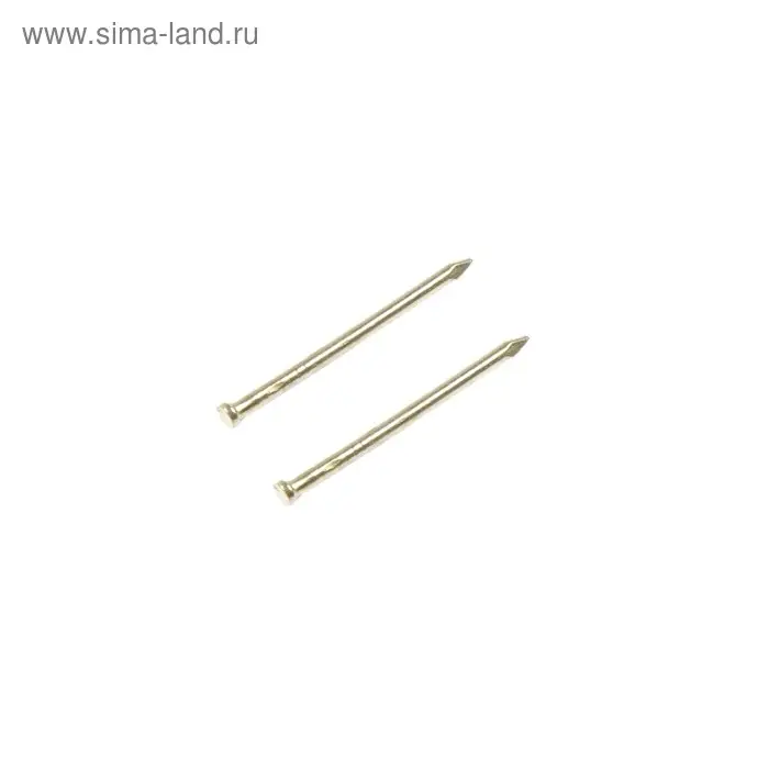 Гвозди СТРОЙБАТ, финишные, ГОСТ 7811-7035, латунированные, 1.4×25 мм, 50 шт. Гвозди СТРОЙБАТ, финишные, ГОСТ 7811-7035, латунированные, 1.4×25 мм, 50 шт.