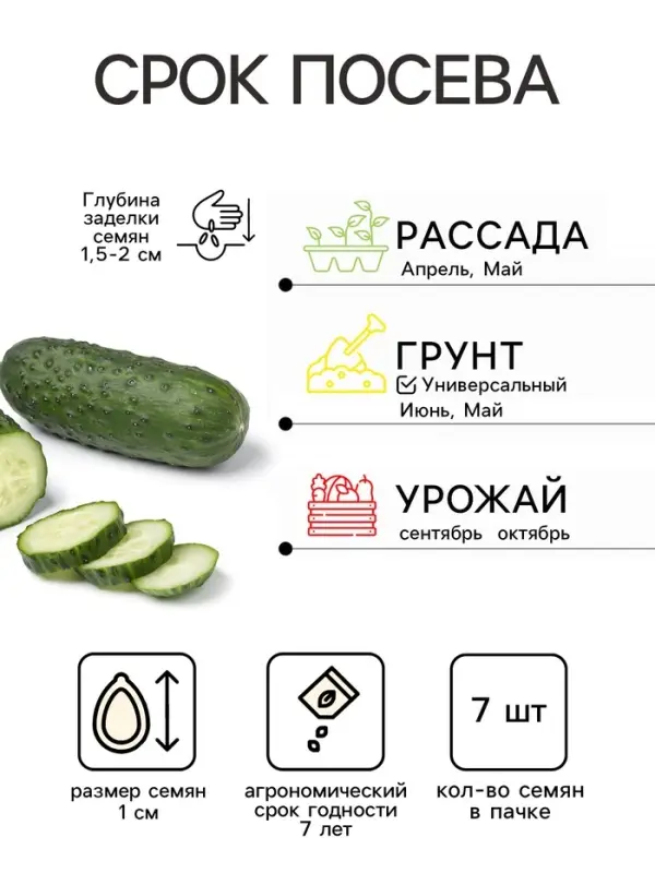 Семена Огурец &laquo;Санькина Любовь&raquo;, F1, супербукетный тип, партенокарпический, 7 шт., &laquo;Уральский дачник&raquo;