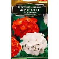 Семена цветов Пеларгония Элитная F1 лёд и пламень, смесь сортов Мн Золотая серия, Ц/П,5 шт. Семена цветов Пеларгония Элитная F1 лёд и пламень, смесь сортов Мн Золотая серия, Ц/П,5 шт.