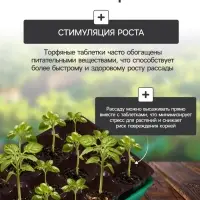 Набор для рассады: торфяная таблетка d=4.1 см, 12 шт., кассета на 12 ячеек по 40 мл, поддон 20.5&times;17 см, зелёный, пластик, Экоторф
